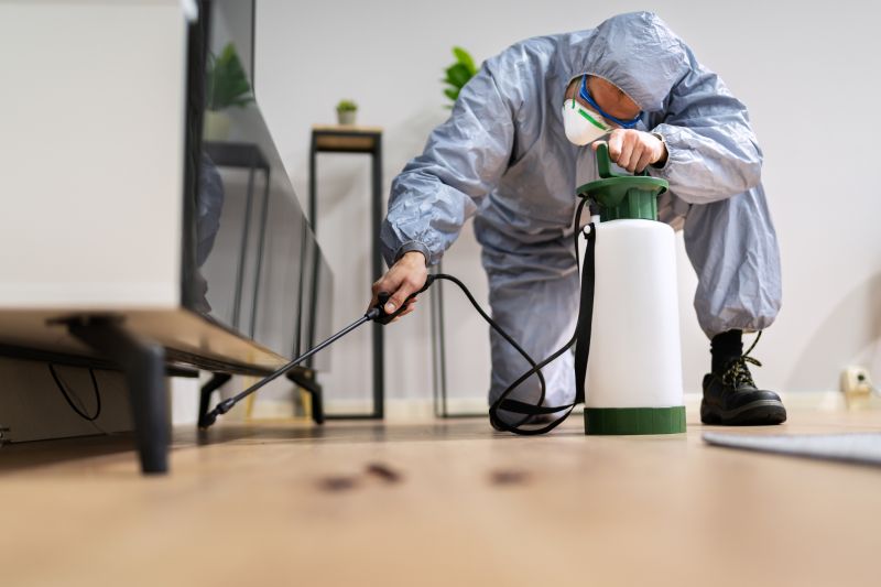 Rat Fumigation Service in Marietta, GA